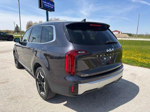 Panthera Metal 2025 Kia Telluride S