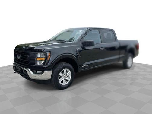 AGATE BLACK METALLIC 2023 Ford F-150 XL