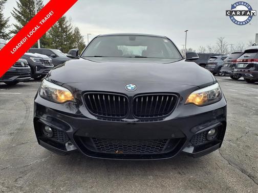 2017 BMW 230 230i