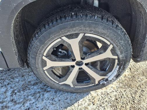 2026 Volkswagen Tiguan 2.0T SE 4MOTION