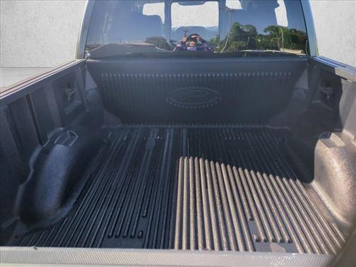 Guard Metallic 2021 Ford F-150 Lariat