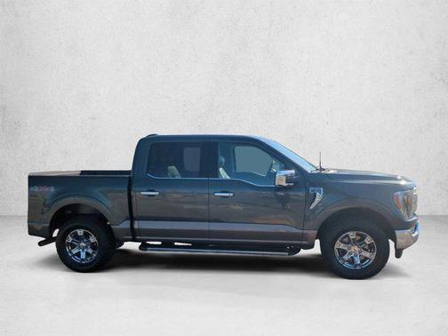 Guard Metallic 2021 Ford F-150 Lariat