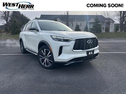 Majestic White 2023 INFINITI QX60 SENSORY