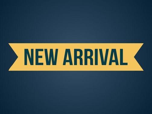 2012 Volkswagen Passat 2.5 SE