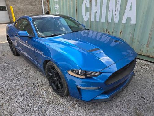 2019 Ford Mustang EcoBoost