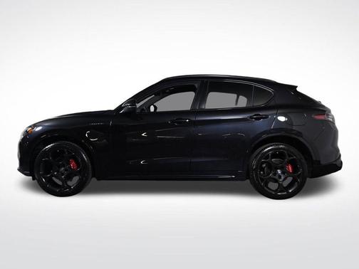 Vulcano Black Metallic 2025 Alfa Romeo Stelvio Base