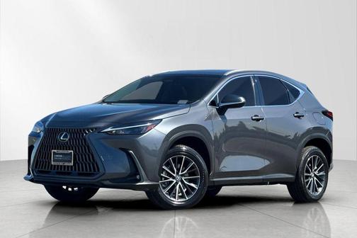 Cloudburst Gray 2024 Lexus NX 350 350