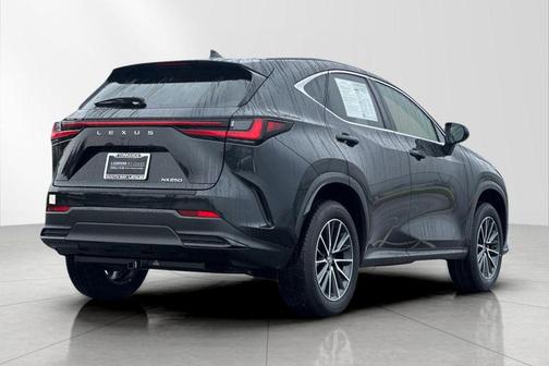 2024 Lexus NX 250 Premium
