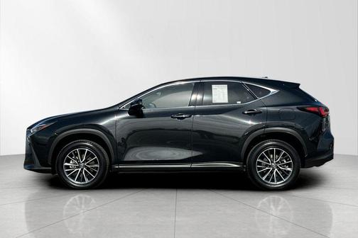 2023 Lexus NX 350h 350h