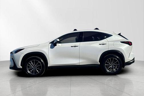 2025 Lexus NX 250 Premium