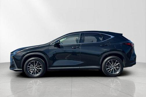 2024 Lexus NX 350h Premium