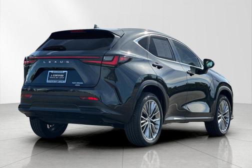 2022 Lexus NX 350h Luxury