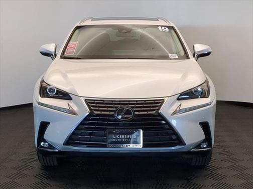 2019 Lexus NX 300 Luxury