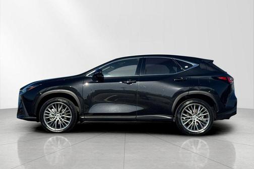 2024 Lexus NX 350 Luxury