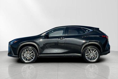 2025 Lexus NX 350h Premium