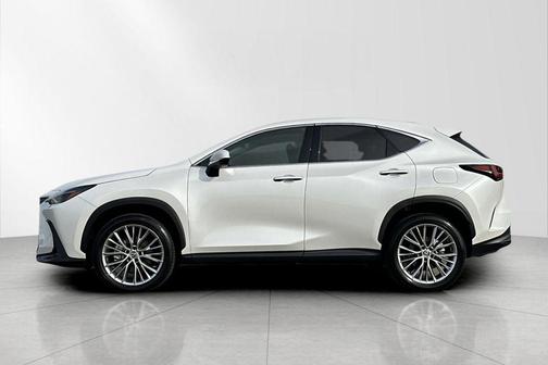 2025 Lexus NX 350 Luxury