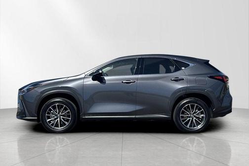 Cloudburst Gray 2025 Lexus NX 350h Premium
