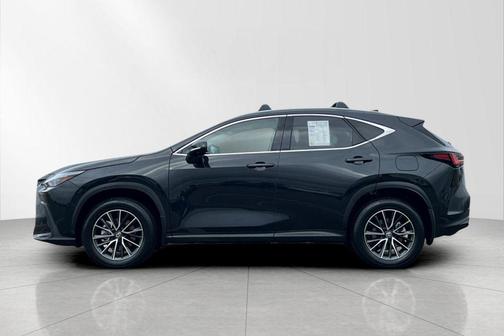 2025 Lexus NX 350h Premium