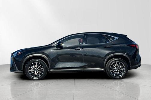 2024 Lexus NX 350h AWD