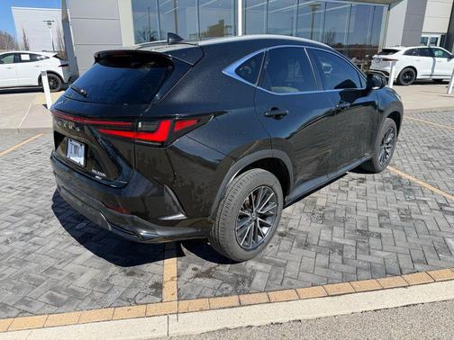 2024 Lexus NX 350h AWD