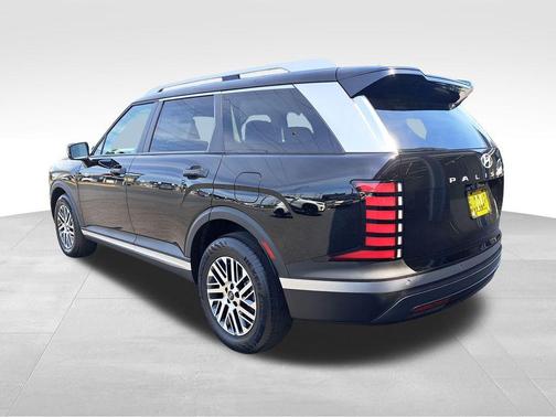 Abyss Black Pearl 2026 Hyundai PALISADE SEL