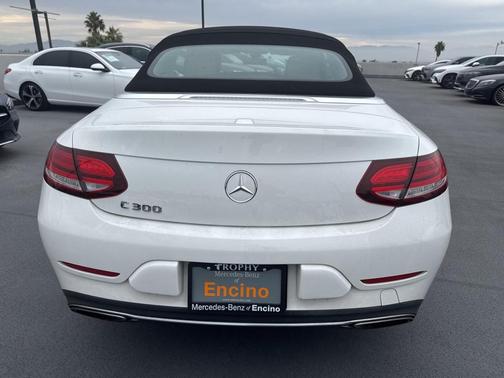 2019 Mercedes-Benz C-Class C 300