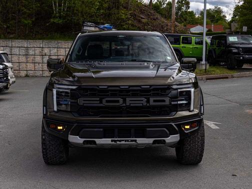 Shelter Green 2024 Ford F-150 Raptor