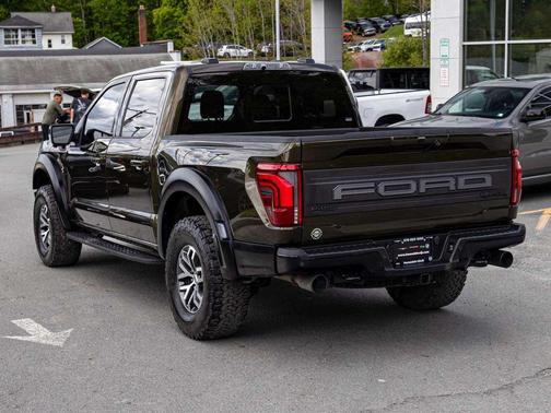 Shelter Green 2024 Ford F-150 Raptor