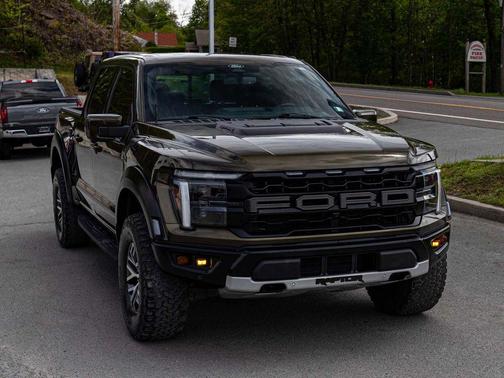 Shelter Green 2024 Ford F-150 Raptor