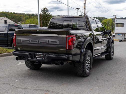 Shelter Green 2024 Ford F-150 Raptor