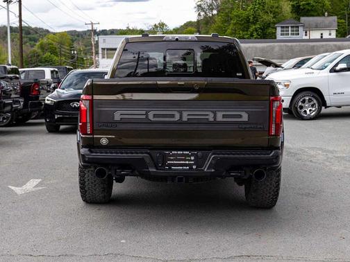 Shelter Green 2024 Ford F-150 Raptor