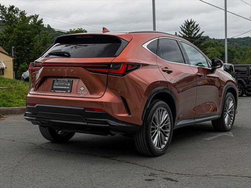 2025 Lexus NX 350 Premium