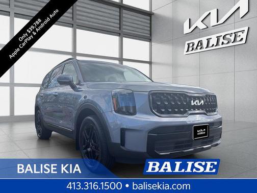 Everlasting Silver 2024 Kia Telluride EX X-Line