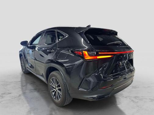 Caviar 2024 Lexus NX 350 Premium