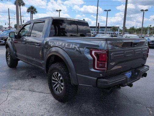 Magnetic 2019 Ford F-150 Raptor