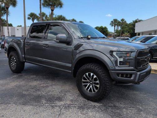 Magnetic 2019 Ford F-150 Raptor