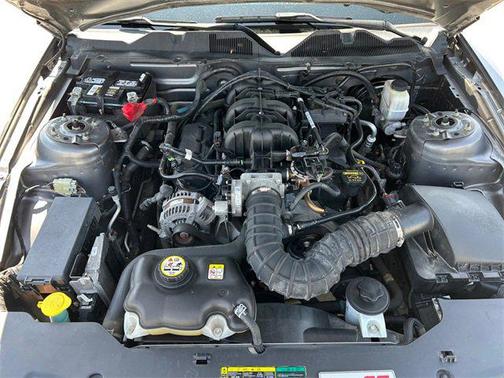2010 Ford Mustang Base