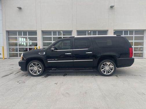 2013 Cadillac Escalade ESV Platinum Edition