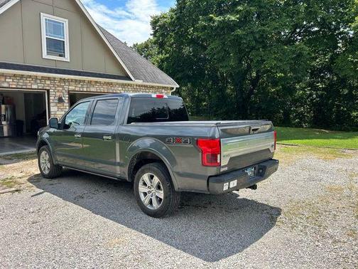 2019 Ford F-150 Platinum