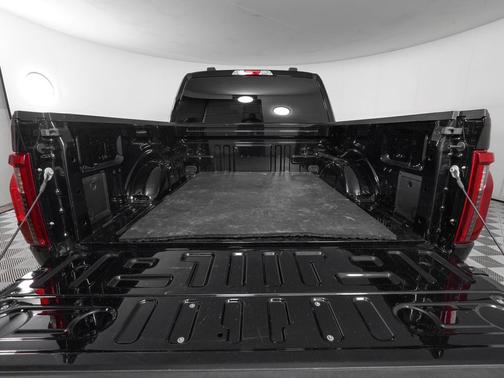 Agate Black Metallic 2025 Ford F-150 STX