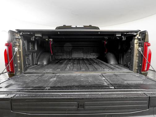 Shelter Green 2024 Ford F-150 Raptor