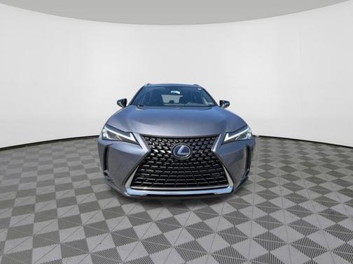 Gray Pearl 2019 Lexus UX 250h Base