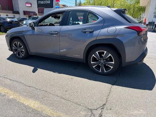 2019 Lexus UX 250h