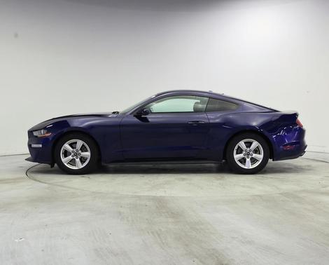 Blue 2019 Ford Mustang EcoBoost