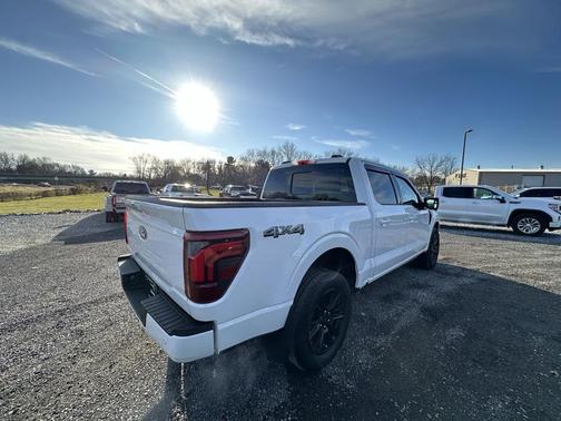 2024 Ford F-150 Platinum