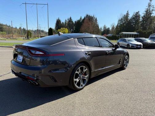 Panthera Metal 2019 Kia Stinger GT