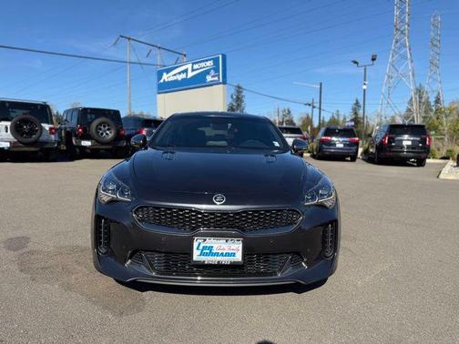 Panthera Metal 2019 Kia Stinger GT