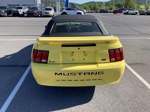 Zinc Yellow Clearcoat 2003 Ford Mustang Deluxe