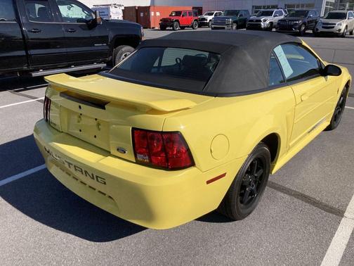 Zinc Yellow Clearcoat 2003 Ford Mustang Deluxe