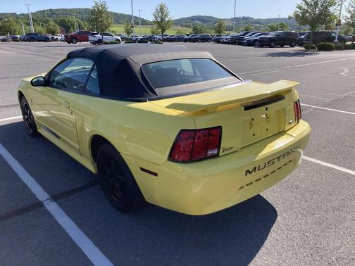 Zinc Yellow Clearcoat 2003 Ford Mustang Deluxe